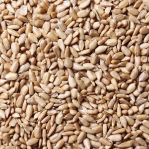 Sunflower Seeds